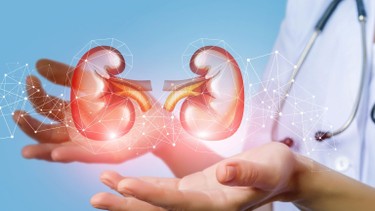 Thận âm hư là gì? Dấu hiệu nhận biết và cách điều trị
