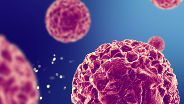Tiêm vắc xin HPV ở đâu tại quận Đống Đa? Gợi ý cơ sở tiêm chủng tin cậy