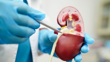 Tính mức lọc cầu thận (eGFR) thế nào? Cách tính và ý nghĩa trong đánh giá chức năng thận