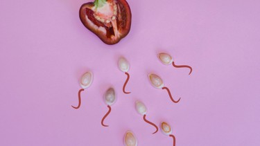 Tinh trùng màu trắng đục có bình thường không? Cách cải thiện chất lượng tinh trùng 