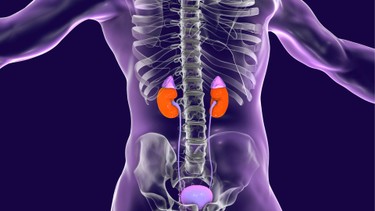 Tổng quan về vai trò của chẩn đoán hình ảnh u tuyến thượng thận