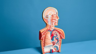 Tràn mủ màng phổi là gì? Những vấn đề cần biết về tràn mủ màng phổi