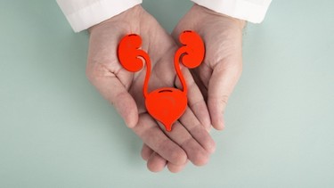 Trào ngược bàng quang niệu quản là gì? Những điều cần biết về trào ngược bàng quang niệu quản