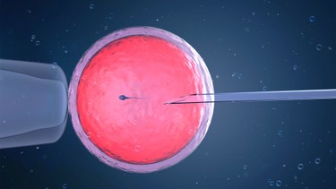 Tuổi thọ của trẻ thụ tinh nhân tạo có khác trẻ sinh tự nhiên không?