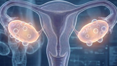 Ứ dịch vòi trứng: Nguyên nhân, dấu hiệu và phương pháp điều trị