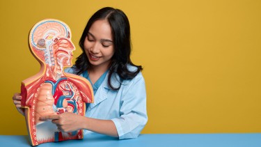 Ung thư phổi: Triệu chứng và cách điều trị