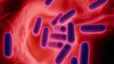 Vi khuẩn nhuộm soi là gì? Ý nghĩa trong chẩn đoán nhiễm trùng