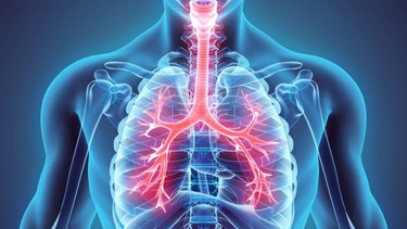 Viêm phế quản phổi là gì? Những điều cần biết để phòng ngừa cho bản thân