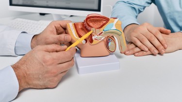 Viêm tuyến tiền liệt cấp tính là gì? Những điều cần biết về viêm tuyến tiền liệt cấp tính