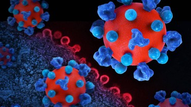 Virus HIV là gì? Cách virus HIV xâm nhập vào cơ thể gây bệnh