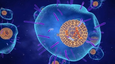 Virus zona​ là gì? Triệu chứng nhận biết bệnh do virus zona thần kinh