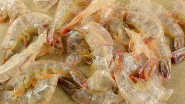 Vỏ tôm có canxi không? Sự thật và cách bổ sung đúng cách