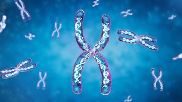 Xét nghiệm ADN ở đâu uy tín? Những trường hợp nào cần xét nghiệm ADN?