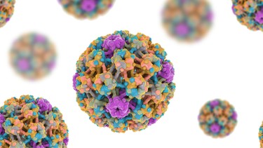 Xét nghiệm HPV ở đâu HCM? Gợi ý top 4 địa chỉ uy tín