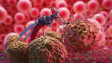 Xét nghiệm virus zika: Đối tượng và quy trình thực hiện