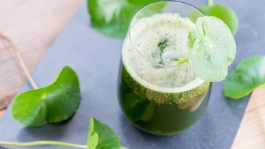 Bầu 3 tháng cuối uống rau má được không? Mẹ bầu nên biết ngay