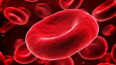 Bệnh tan máu tự miễn có chữa được không​? Phương pháp điều trị hiện nay