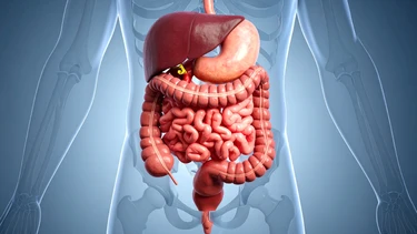 Các bệnh lý nội tiêu hóa thường gặp là gì?