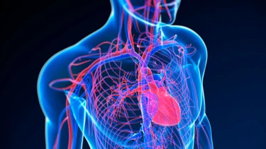 Khí tĩnh mạch cửa là gì? Nguyên nhân, mức độ nguy hiểm và hướng xử trí