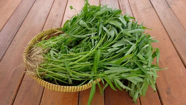 Suy thận có ăn được rau muống không? Cách ăn rau muống an toàn cho người suy thận