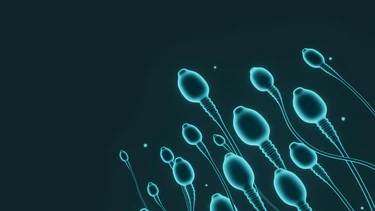Tinh trùng khỏe mạnh có màu gì? Những màu tinh dịch khác và ý nghĩa cần chú ý