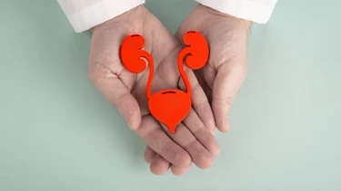 Trào ngược bàng quang niệu quản là gì? Những điều cần biết về trào ngược bàng quang niệu quản