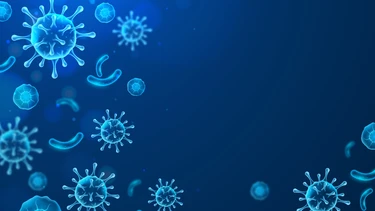 Virus Andes là gì? Dấu hiệu, đường lây và mức độ nguy hiểm