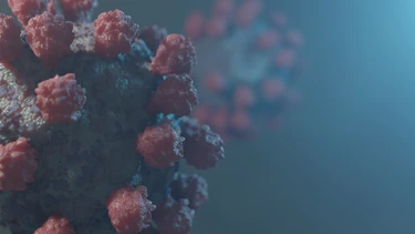Virus HPV có gây ung thư hậu môn không và những điều cần lưu ý?