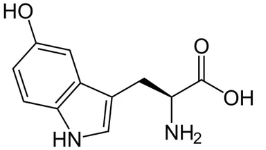 5-HTP là gì? Tác dụng và cách bổ sung đúng cách tốt cho sức khỏe