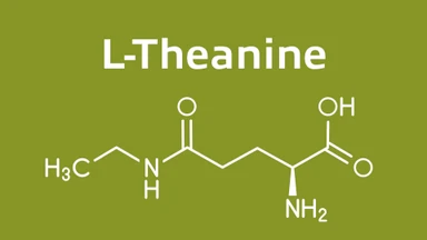 L-Theanine có lợi ích gì và có trong thực phẩm nào?