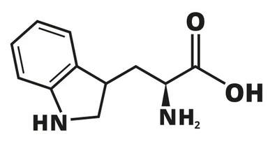 Lợi ích Tryptophan đối với sức khoẻ có thể bạn chưa biết
