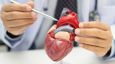 Bệnh mạch vành là gì? Nguyên nhân và biểu hiện của bệnh