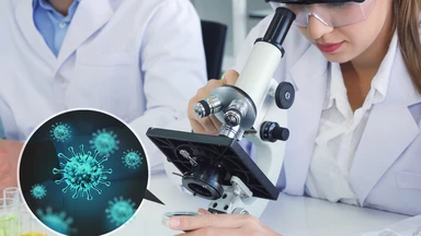 Bệnh truyền nhiễm nhóm C: Danh mục, đặc điểm và cách phòng ngừa