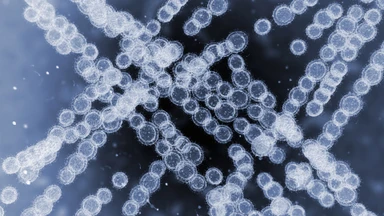 candida_auris_la_gi_trieu_chung_khi_nhiem_nam_candida_auris_4_cfbbd6fbcd