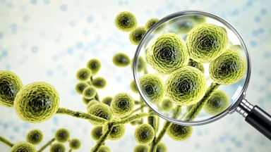 candida_glabrata_la_gi_cac_benh_thuong_gap_va_cach_phong_ngua_4_8e6cadca2d