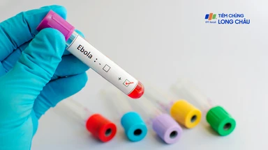 Cập nhật đại dịch ebola tại CHDC Congo và Uganda