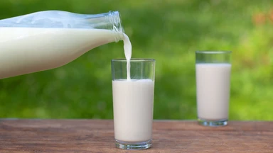Chất béo trong sữa cao có tốt không? Cách uống sữa chất béo cao để tốt cho sức khỏe