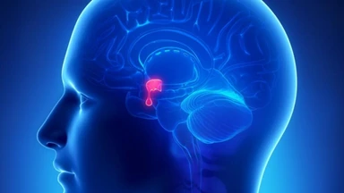 Chi phí phẫu thuật u tuyến yên gồm các khoản nào? Yếu tố ảnh hưởng 