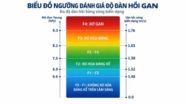chi_so_dan_hoi_mo_gan_kpa_la_gi_cach_doc_ket_qua_fibroscan_1_88680002c6