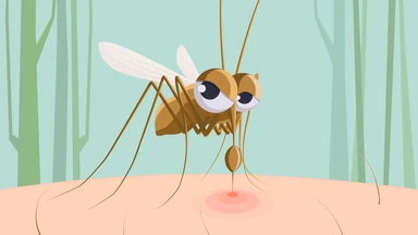 Chikungunya khác sốt xuất huyết ở điểm nào?