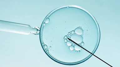 chu_ky_ivf_mat_bao_lau_hanh_trinh_cho_doi_va_nhung_moc_thoi_gian_can_biet_3_8b5c203906