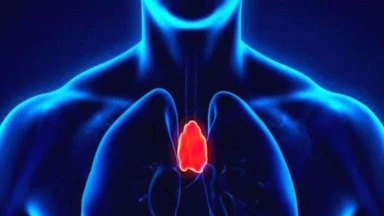 Cục tròn dưới xương ức: Nguyên nhân, dấu hiệu bất thường cần đi khám ngay