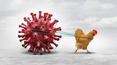 Cúm A/H7N9 có lây sang người không? Cách phòng ngừa bệnh