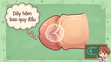 Dây hãm bao quy đầu ngắn: Dấu hiệu nhận biết và cách điều trị