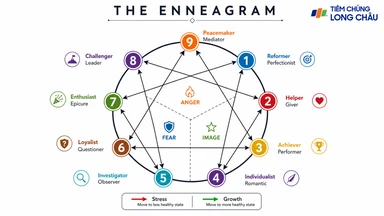 Enneagram là gì? Khám phá 9 nhóm tính cách phổ biến