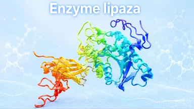 Enzyme lipaza là gì? Khi nào cần xét nghiệm và ý nghĩa kết quả