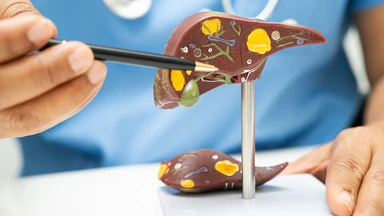 Gan nhiễm mỡ độ 2 uống lá gì để hỗ trợ cải thiện sức khỏe?