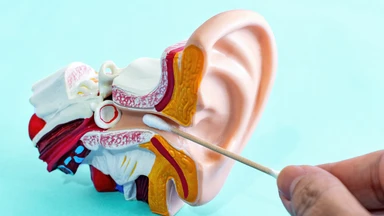 Giải phẫu tai: Cấu tạo, chức năng và vai trò của các bộ phận trong tai