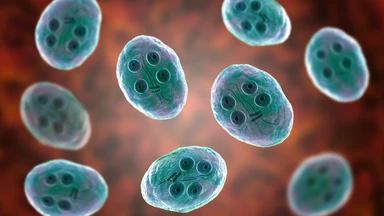 giardia_intestinalis_la_gi_chan_doan_giardia_intestinalis_bang_cach_nao_1_4d940cab0b