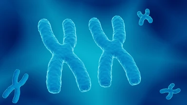 Hội chứng kháng androgen là gì? Nguyên nhân, dấu hiệu và điều trị